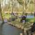 Etang4 25/03/2017